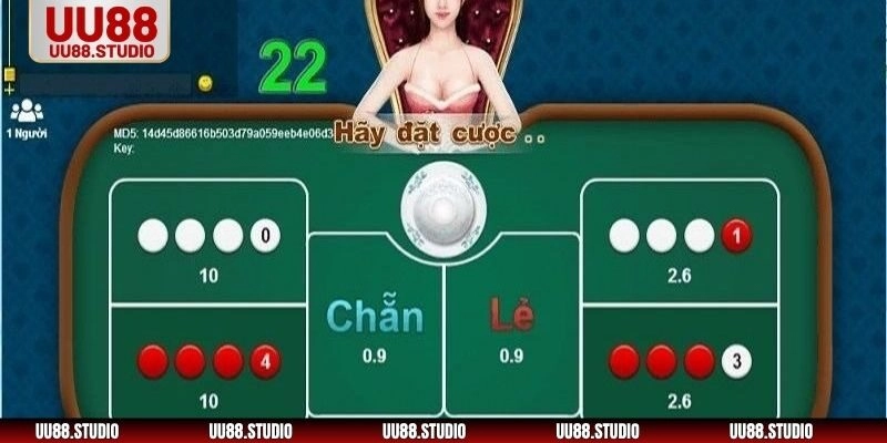 Tận dụng kinh nghiệm chơi xóc đĩa từ cao thủ